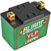 Batteria litio LiFePO4 Aliant YLP05 12V-80A, 5Ah