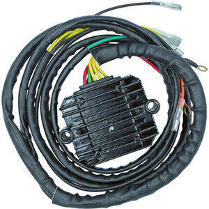 Regolatore di tensione alternatore Bosch batteria litio Rick\'s Motorsport Electric