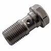 Bullone forato M10x1 singolo testa piatta acciaio grigio