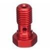 Bullone forato M10x1 singolo testa piatta alluminio rosso
