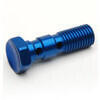 Bullone forato M10x1 doppio testa svasata alluminio blu
