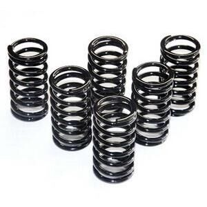 Clutch spring Ferodo FSS0404 kit