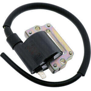 Bobina accensione per BMW F 650 -'99