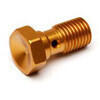 Bullone forato M10x1 singolo testa svasata alluminio oro