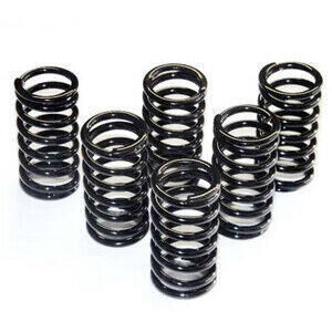 Molla frizione Ferodo FSS0106 kit
