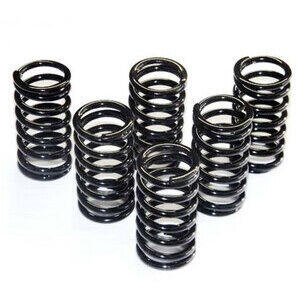 Kit molle frizione Ferodo FSS0106 kit