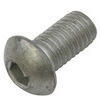 Bullone testa bombata M8x20mm