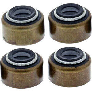 Joint de tige de soupape Suzuki GS 750 kit