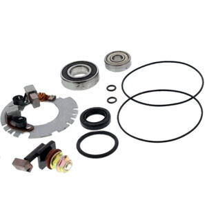 Starting motor service kit Triumph Thunderbird 900 Arrowhead
