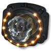 Inserto faro anteriore di proiezione 61mm abbagliante - Foto 2