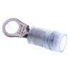 Terminale cavo elettrico ad anello Solder-Grip 2.5-6mm foro M8 set 10pz
