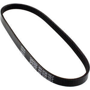 Alternator belt Dayco PK04730