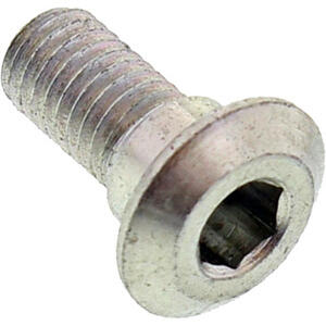 Brake disc rotor fixing bolt M8x1.25 length 19mm