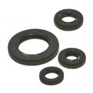 Kit paraoli motore per Yamaha XV 535 Virago Tour Max