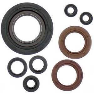 Kit retén motor Suzuki RGV 250 Athena