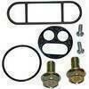 Kit revisione rubinetto benzina Tour Max FCK-22