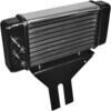 Radiatore olio motore per Harley-Davidson Dyna '99-'17 cromo - Foto 2
