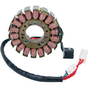 Lichtmaschine Stator Triumph Street Triple 675 -\'12 Rick\'s Motorsport Electric