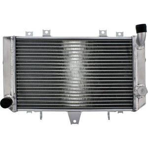 Radiatore motore per Kawasaki ZRX 1100 acqua grigio