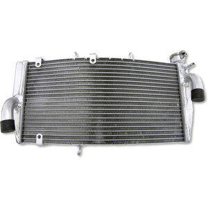 Radiatore motore per Honda CBR 900 RR '02-'03 acqua