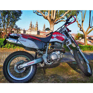 Auspuff Schalldämpfer Yamaha TT 600 E Oval