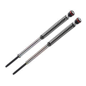 Coppia cartucce forcella per Ducati Sport Classic 1000 Bitubo JBH