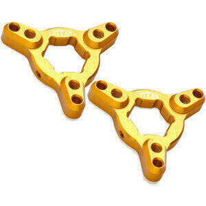 Registro precarico forcella Titax 17mm coppia oro