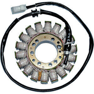 Statore per Triumph Tiger 1050 i.e. -'13 Rick's Motorsport Electric