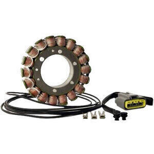 Lichtmaschine Stator Yamaha TDM 900 Rick\'s Motorsport Electric