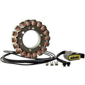 Statore per Yamaha TDM 900 Rick's Motorsport Electric