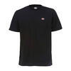 T-Shirt maniche corte Dickies Stockdale nero
