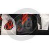 Giacca moto Icon Hypersport2 Prime nero/bianco/rosso - Foto 4