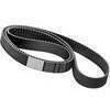 Cinghia di trasmissione per Harley-Davidson 24mm 133 denti ContiTech