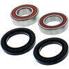 Kit de rodamientos de rueda Tour Max WBK-303