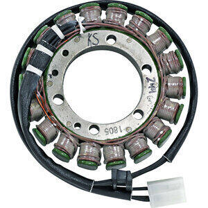 Statore per Kawasaki W 650 Rick's Motorsport Electric