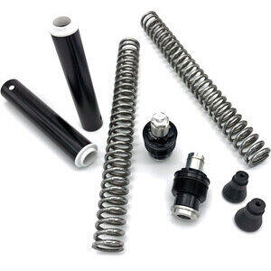 Kit upgrade forcella per BMW F 800 S Matris FKE