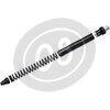 Kit upgrade forcella per BMW F 800 S Matris FKE - Foto 5