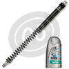 Kit upgrade forcella per Triumph Tiger 955 i.e. Matris FSE - Foto 3