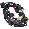 Electrical wiring harness Moto Guzzi Nevada 750 '02- main