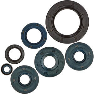 Motor Simmerring Satz BMW F 650 Athena