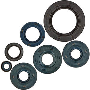 Kit paraoli motore per BMW F 650 Athena