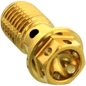 Bullone forato M10x1.25 singolo testa alleggerita inox oro