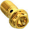 Bullone forato M10x1.25 singolo testa alleggerita inox oro