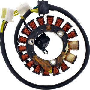 Stator Suzuki DR 650 RE Tour Max