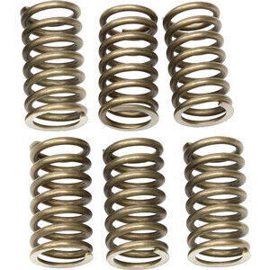 Clutch spring Ducati 38mm kit stainless
