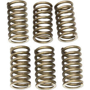Molla frizione per Ducati Monster 1000 kit inox