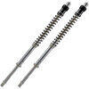 Fork cartridge Kawasaki ER-6 -'11 Matris F15K kit - Pictures 2
