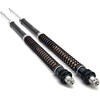 Cartuccia forcella per Triumph Scrambler -'15 Matris F15K kit