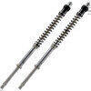 Cartuccia forcella per Ducati Monster 1100 EVO ABS Matris F20K kit