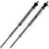 Cartuccia forcella per Ducati Monster 620 Matris F20K kit